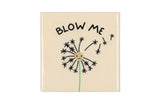 Blow me